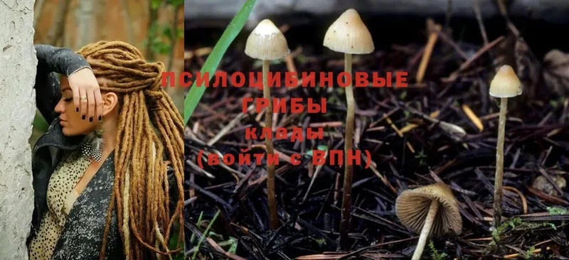 Галлюциногенные грибы Magic Shrooms  магазин продажи наркотиков  Абинск 